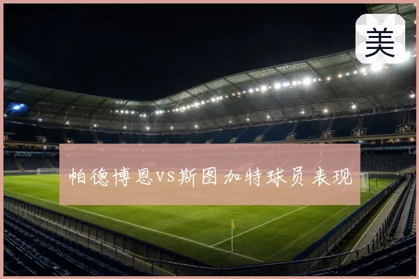 帕德博恩vs斯图加特球员表现